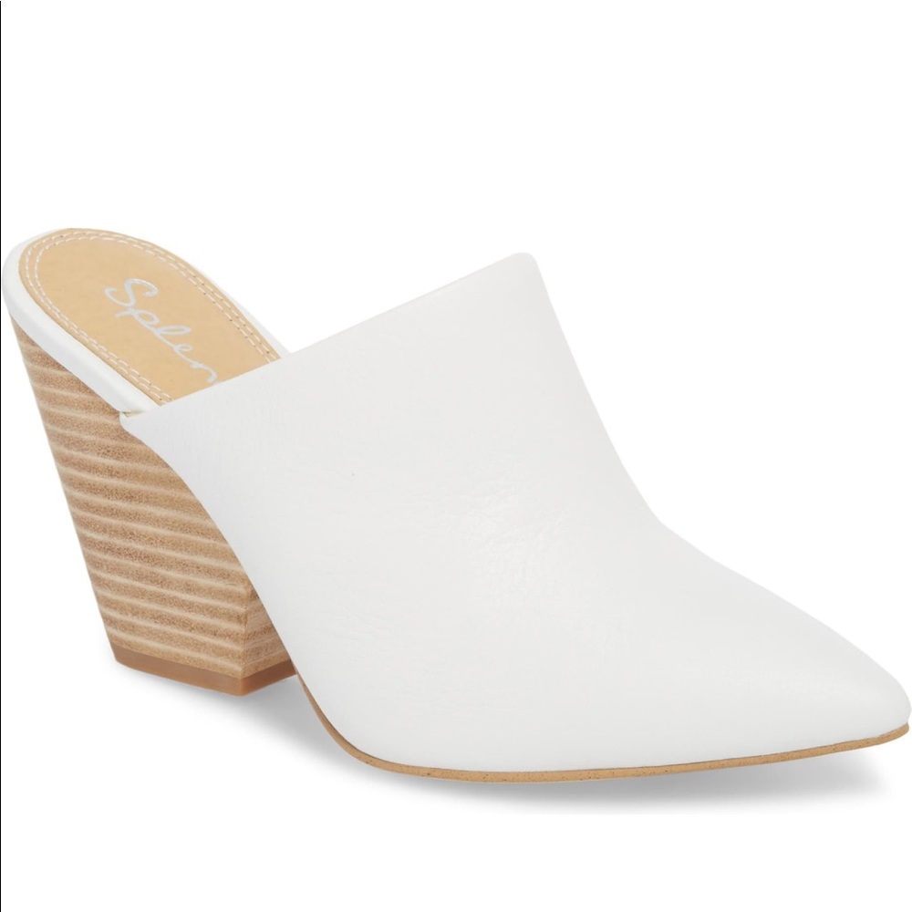 Splendid Nala Mule